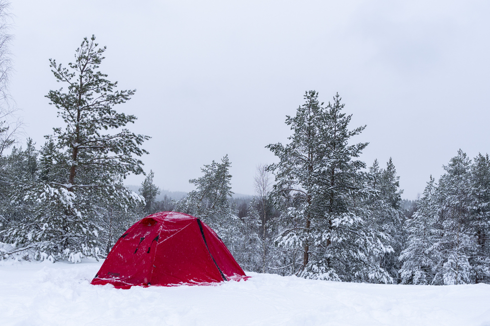 BOYARD PRO 2 RED палатка Talberg (красный)