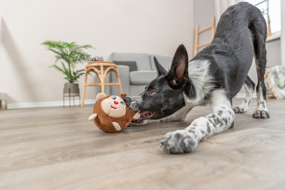 Игрушка для собак "Обезьянка", 11 см, плюш, Trixie