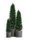 Искусственная Туя Смарагд 120-180 см в кашпо TREEZ Effectory - серия Beton