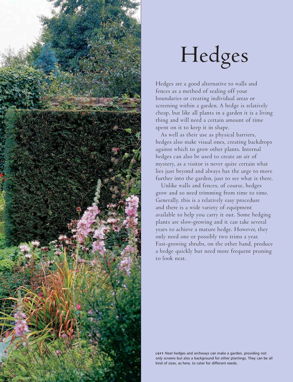 Practical Guide to Pruning, Training and Topiary