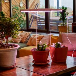 ULI-P32-18W-SPLX IP40 WHITE Светильник для растений светодиодный линейный. 560мм. выкл. на корпусе. Алюминий. Спектр с дальним красным для фотосинтеза. TM Uniel