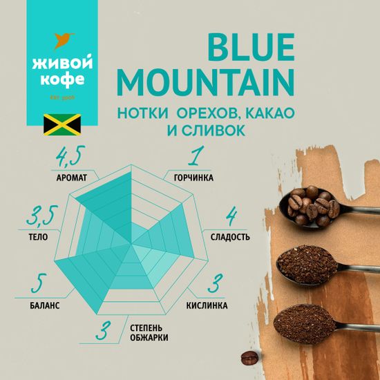 Кофе Ямайка Блю Маунтин / Blue Mountain 1000 г