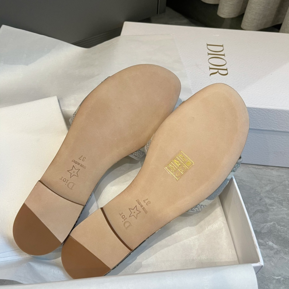 Christian Dior Dway Slide