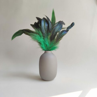 Перья петуха зеленые двухцветные 13 - 18 см. 20 шт.