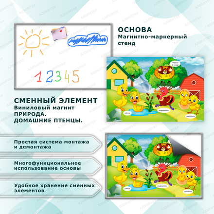 Комплект развивающий ПРИРОДА. ДОМАШНИЕ ПТЕНЦЫ. 2174