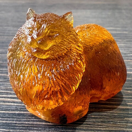 Кот пушистый хитрый