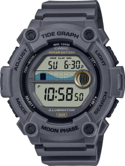 Часы Casio WS-1300H-8AVEF