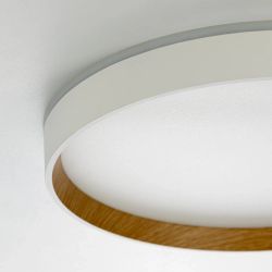 Citilux ETALON CL750320R LED RGB Светильник с пультом Белый+Бук