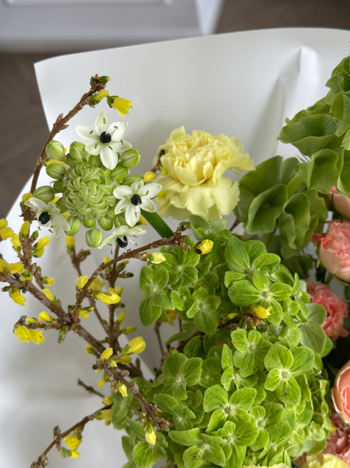 собран сегодня #26