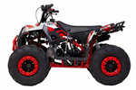Квадроцикл WELS Thunder Evo M детский