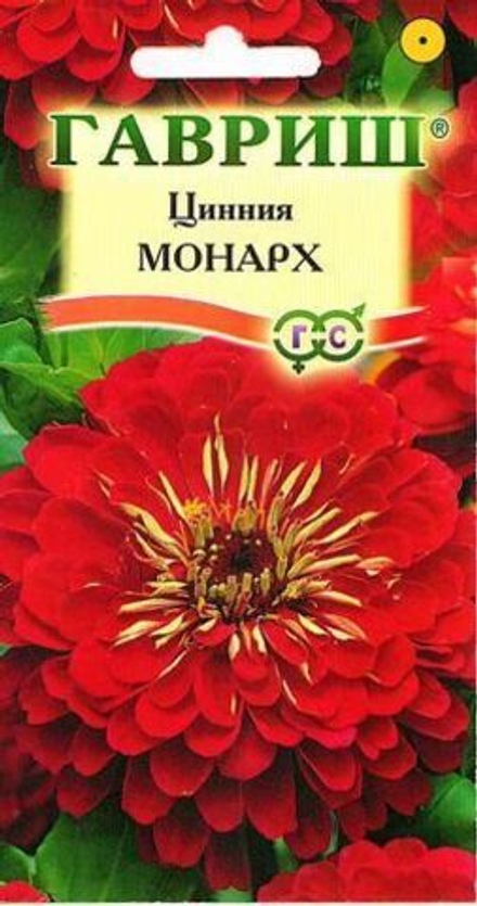 Циния Монарх Гавриш