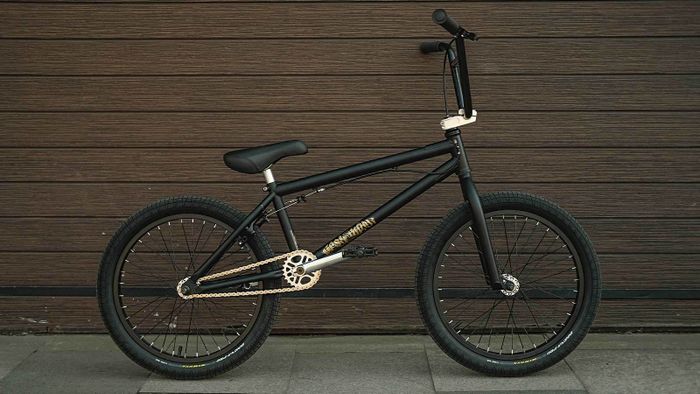BMX EasyRider 20