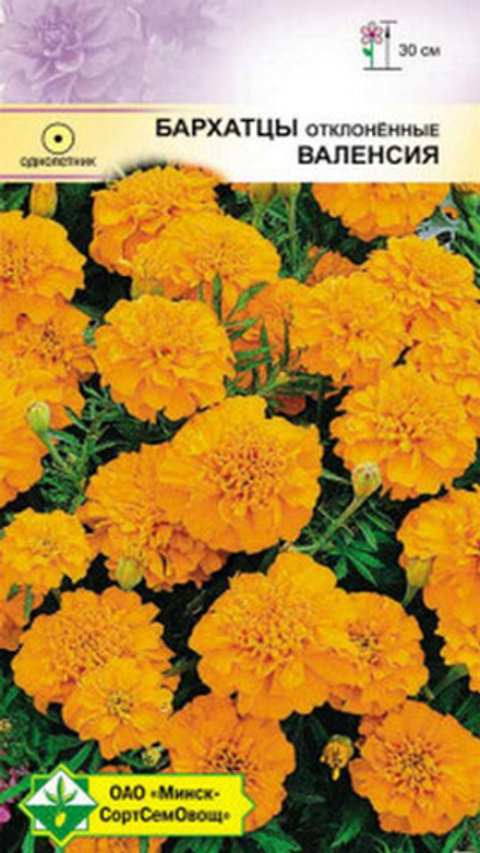 Бархатцы "Валенсия" 0.5г., Германия.