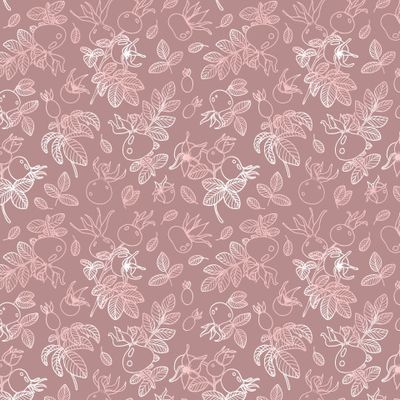 Шиповник пыльная роза