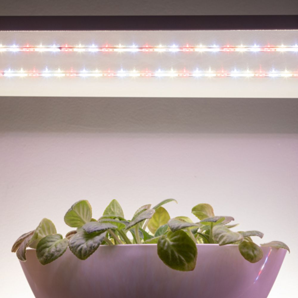 Светодиодная лента для растений ЭРА FITO-Strip Light-Rа90-300LED-5m-12V-IP65 полного спектра 5м IP65 с адаптером 12В | Светодиодные ленты для растений