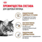 Royal Canin Ageing 12+ Эйджинг Корм влажный для взрослых кошек в возрасте старше 12 лет желе 85г