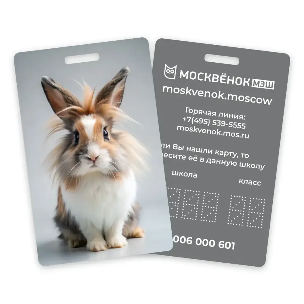 Карта Москвёнок BUNNY №6 (проход + питание)