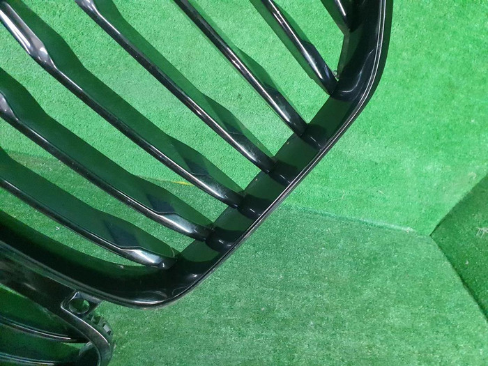 Решетка радиатора BMW X5 G05 (2018-2023)