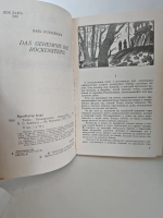 Тайна Рокенштайна