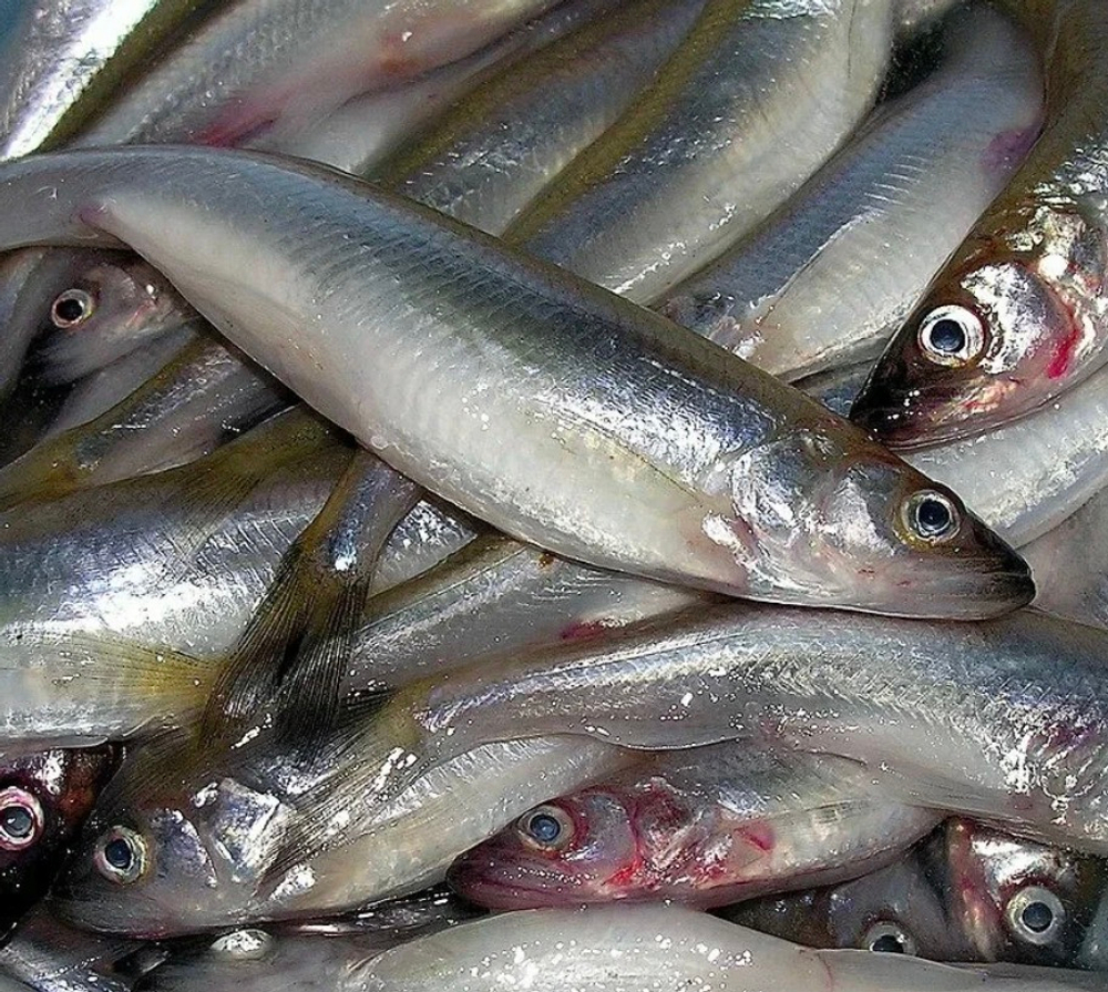 Корюшка охлажденная, 1 кг