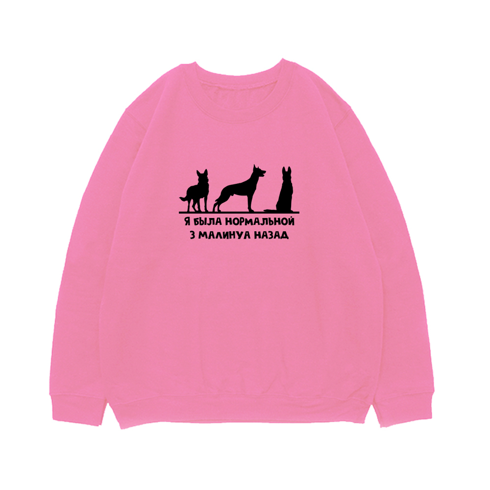 Свитшот "3 Малинуа назад"