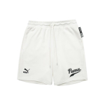 Шорты Puma Logo, 536934-65