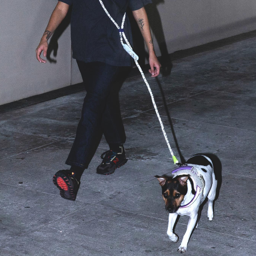 Поводок handsfree NOX Zee.Dog