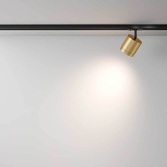 Трековый светильник Maytoni Technical Single phase track system Unity Polar TR088-1-GX53-MG