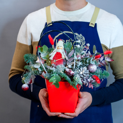 Нобилис в красной сумке с эвкалиптом