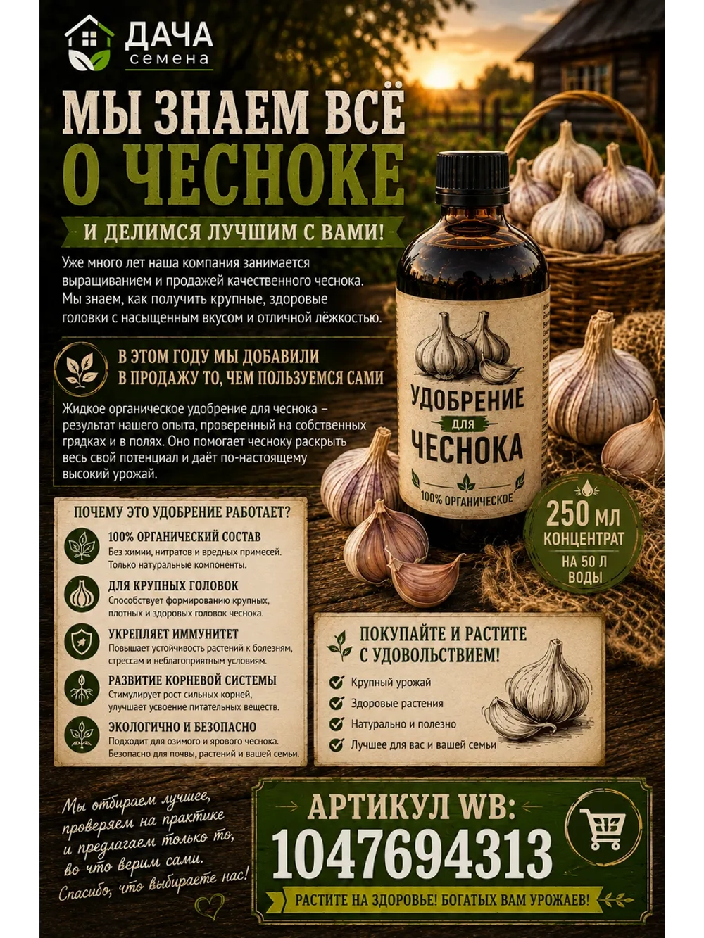 Чеснок посадочный озимый Гулливер