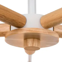 Потолочная люстра Arte Lamp