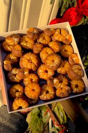 Мандарины в шоколаде