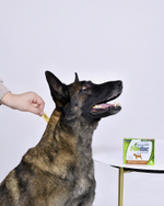 FITODOC Капли дерматологические для собак средних пород (20-40 кг), 4*1,2 мл