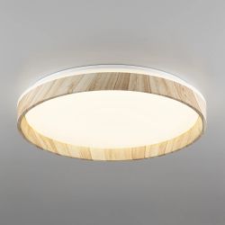 Citilux ENZO CL753452G LED RGB Светильник с пультом Клён