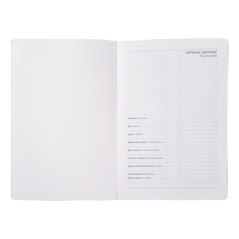 Ежедневник недатированный, А5, Yalong, 7БЦ, иск. кожа, ляссе, клапан с отделкой золото, клетка, 110л, темно-зелёный, "Золотая классика"