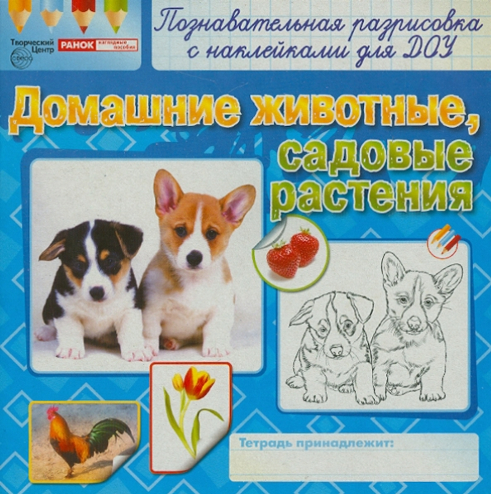 Раскраски с наклейками . Домашние животные, садовые растения.