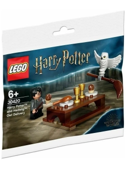 LEGO Harry Potter 30420 Harry Potter and Hedwig, 40 дет.