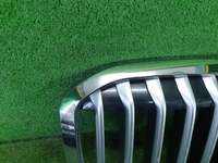 Решетка радиатора BMW X7 G07 (2019-2022)