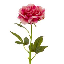GAEM Цветок искусственный "Пион" (Real Touch), L12 W12 H56 см