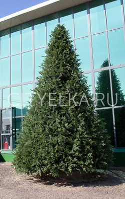 Ель искусственная интерьерная "Финская"