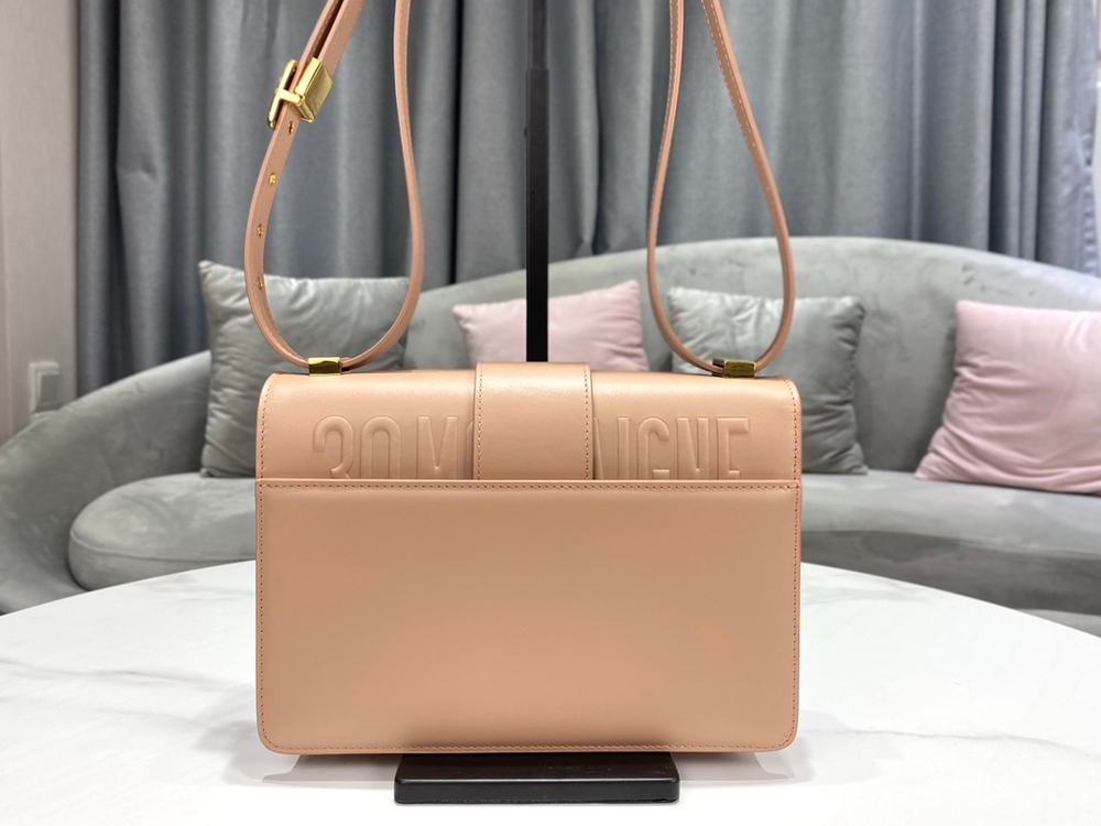 Christian Dior 30 Montaigne Bag