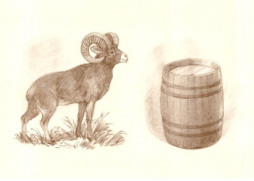 Карточки для выполнения звуковых заданий для детей 4 лет