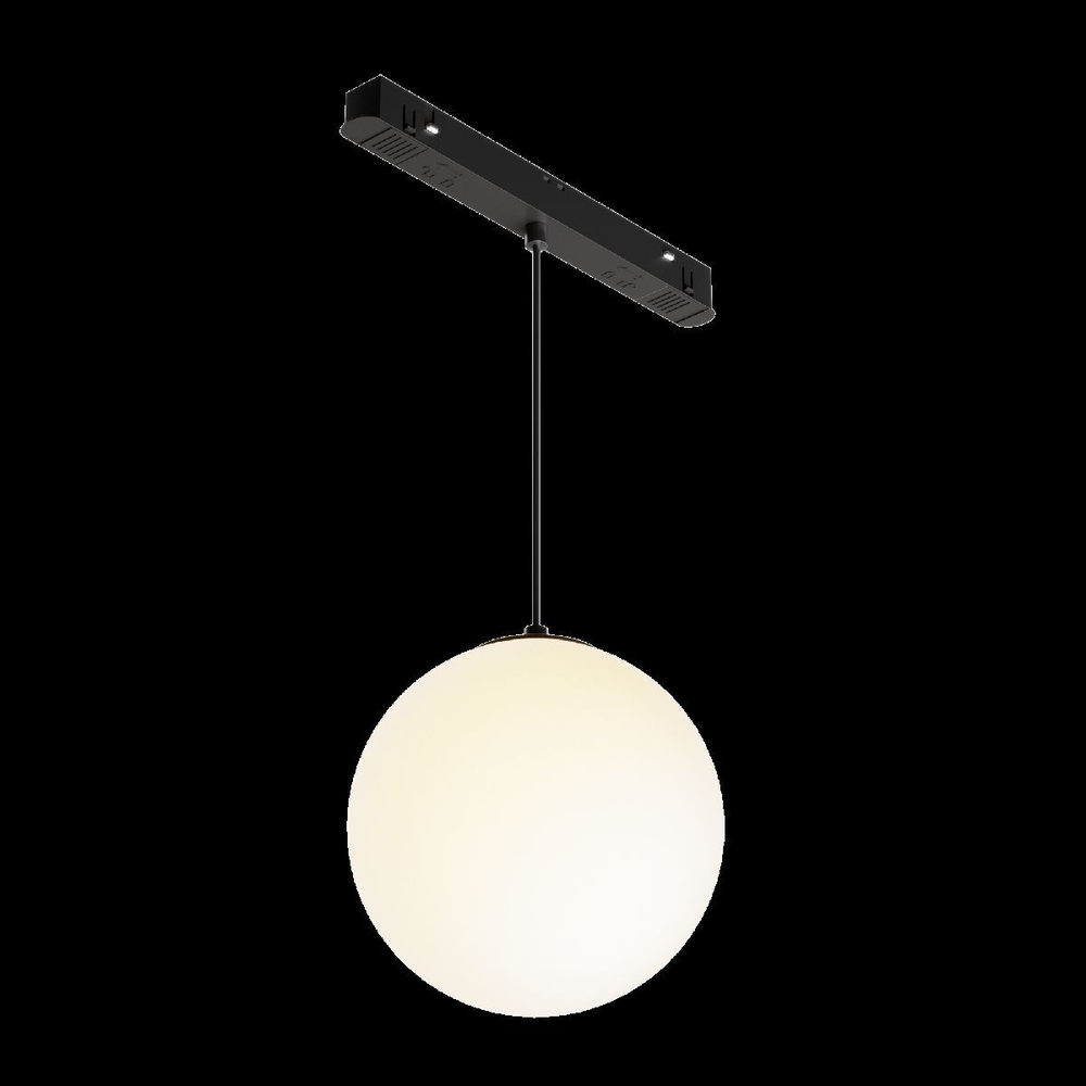 Трековый светильник Maytoni Technical TR039-2-5W3K