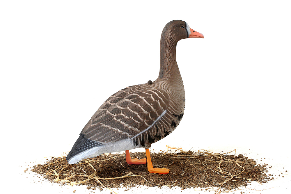 Белолобый гусь Softplast 3D мод. B10S-3D