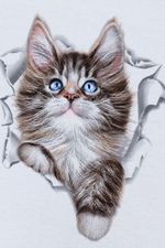 Костюм Брамс Натали (Акция)