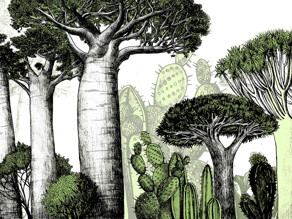 Дизайнерские обои Wall Street Zoo