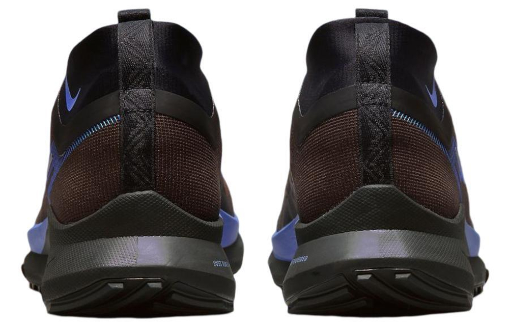 Кроссовки Nike Pegasus Trail 4 Gore-Tex