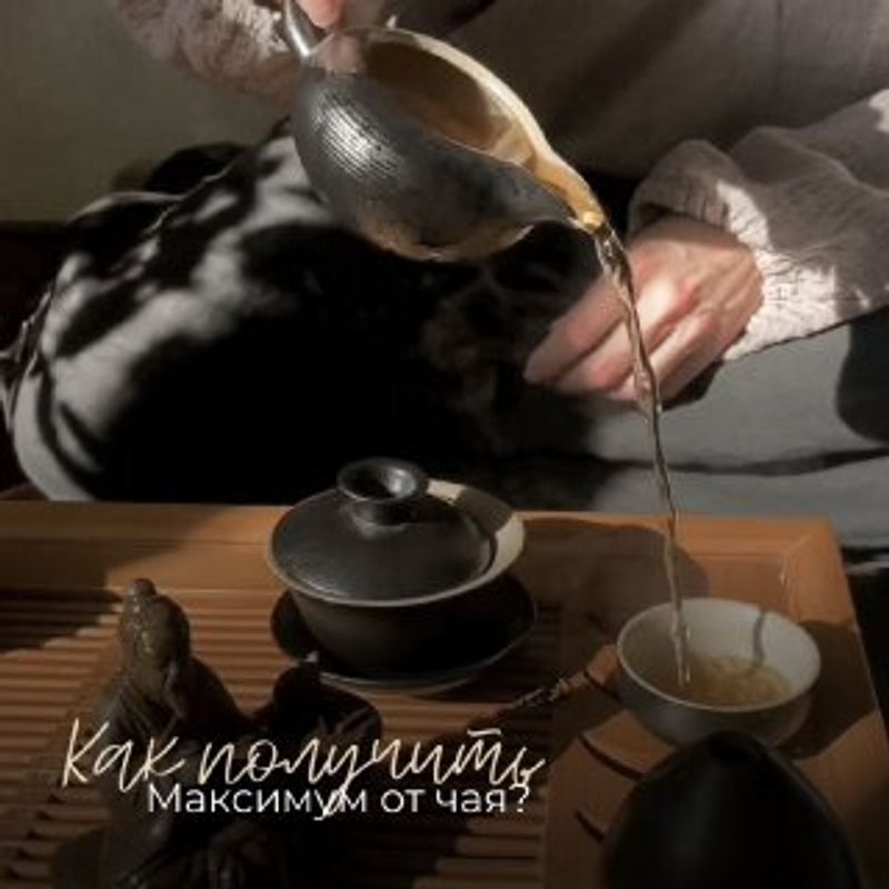 5 правил, чтобы получить от чая максимум