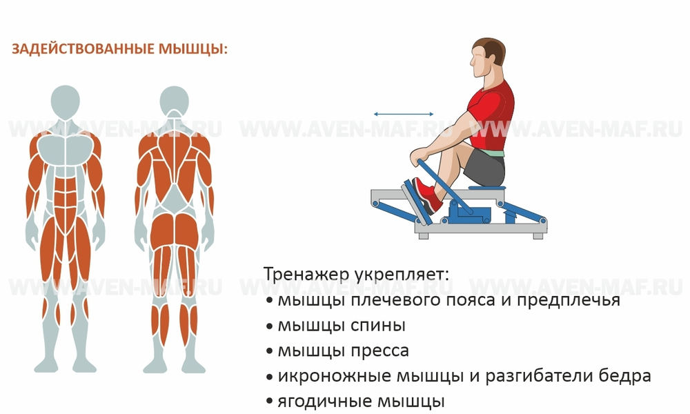 Тренажер Гребля