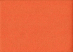 Искусственная кожа Кольт 06